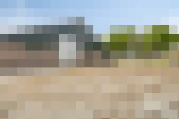 De Kat 28 Westhem thumbnail 46