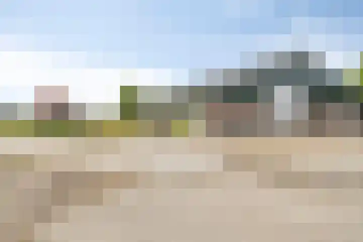 De Kat 28 Westhem thumbnail 48