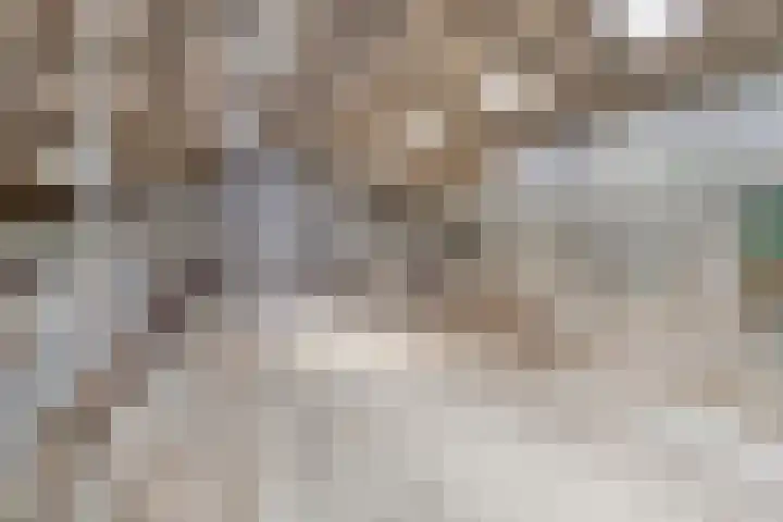 De Kat 28 Westhem thumbnail 49