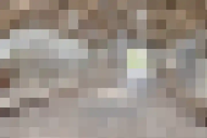 De Kat 28 Westhem thumbnail 50