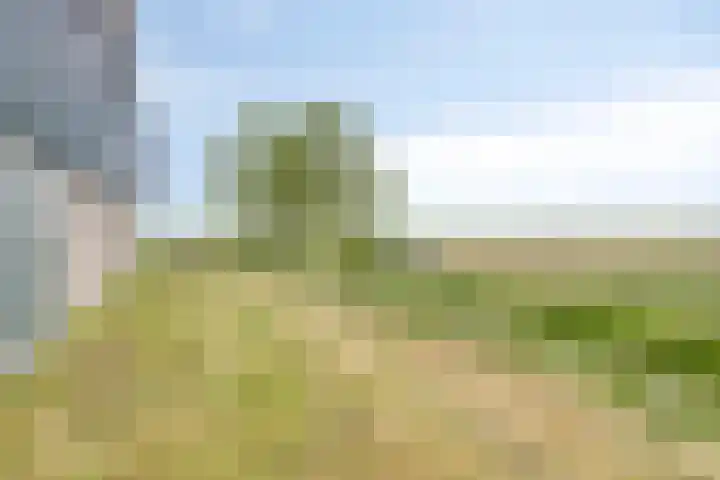 De Kat 28 Westhem thumbnail 56