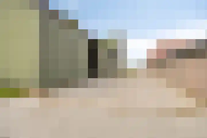 De Kat 28 Westhem thumbnail 58