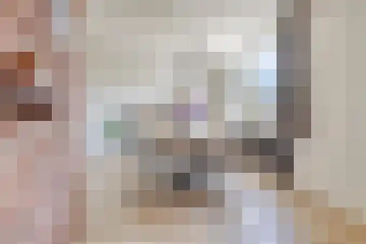 De Kat 28 Westhem thumbnail 6