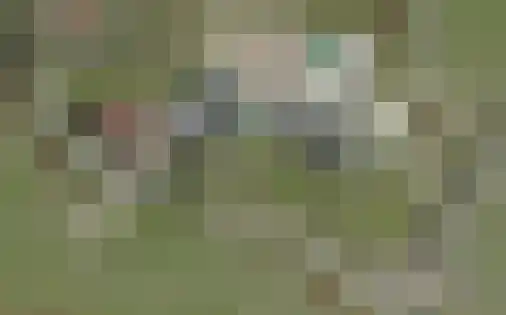 De Kat 28 Westhem thumbnail 69