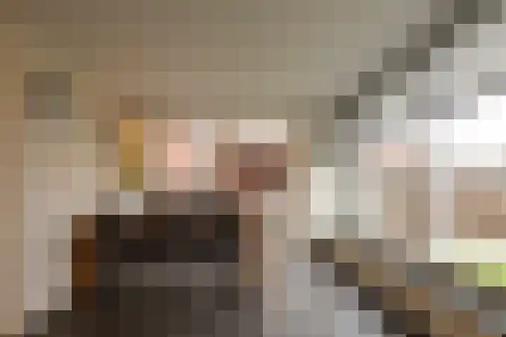 De Katstraat 2 Geleen thumbnail 7