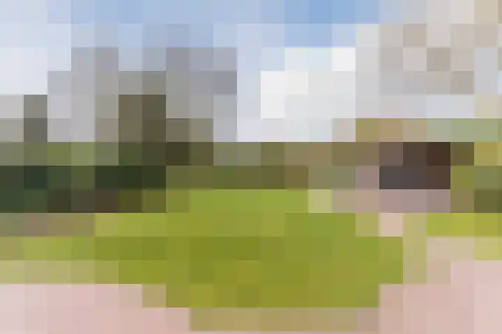 De Kattenberg 15 Bergeijk thumbnail 42