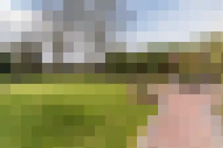 De Kattenberg 15 Bergeijk thumbnail 45