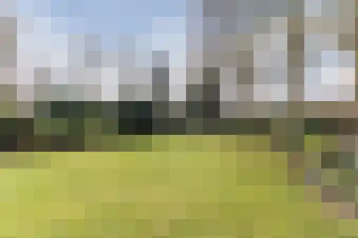 De Kattenberg 15 Bergeijk thumbnail 46