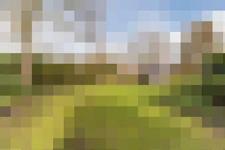 De Kattenberg 15 Bergeijk thumbnail 49