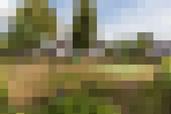 De Kattenberg 15 Bergeijk thumbnail 55