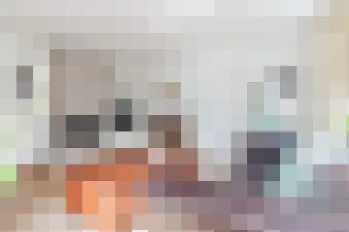 De Kattenberg 15 Bergeijk thumbnail 8