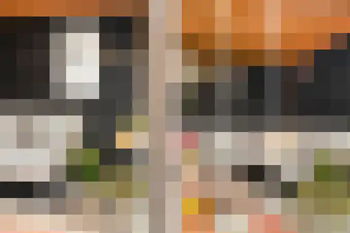 De Keats 4 Berltsum thumbnail 48