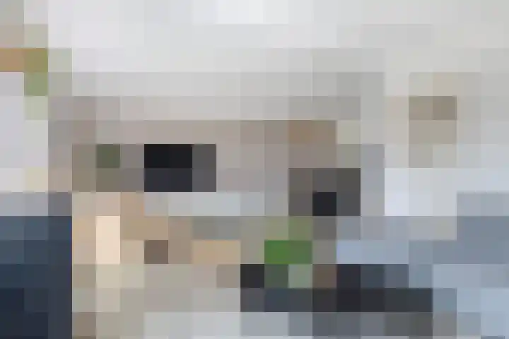 De Keats 4 Berltsum thumbnail 5