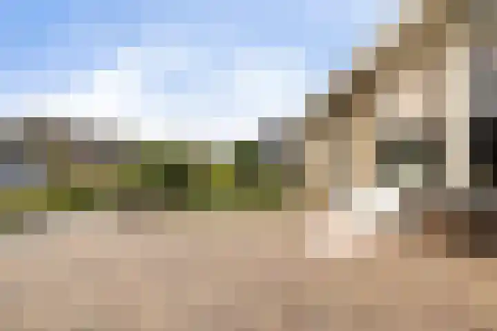 De Keats 4 Berltsum thumbnail 57