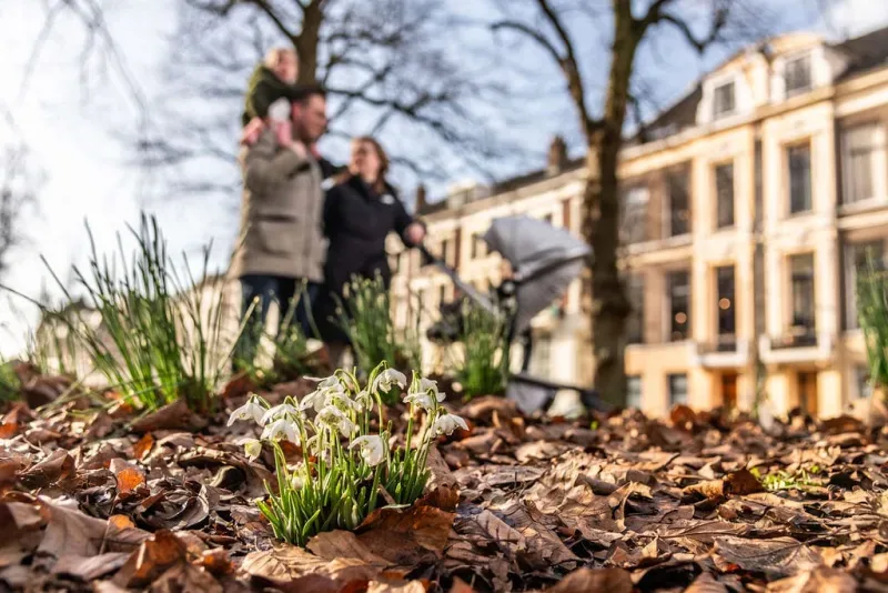 Kantoor foto van De Keizer makelaars Utrecht