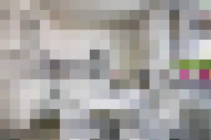 Team foto van De Keizer makelaars Vleuten