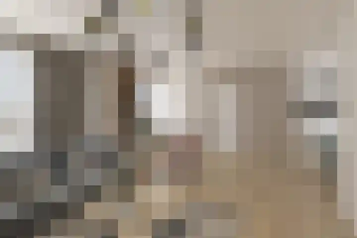 De Kempen 13 Oss thumbnail 11