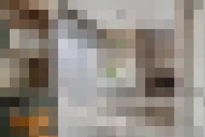 De Kempen 13 Oss thumbnail 18