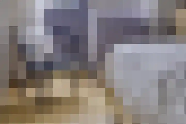 De Kempen 13 Oss thumbnail 30