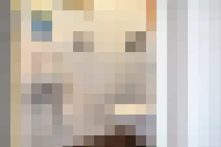 De Kempen 13 Oss thumbnail 7
