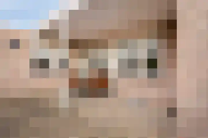 De Kempen 15 Oss thumbnail 32