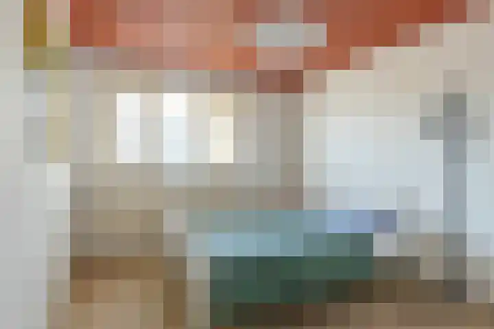 De Kempenaerstraat 52 Oss thumbnail 19