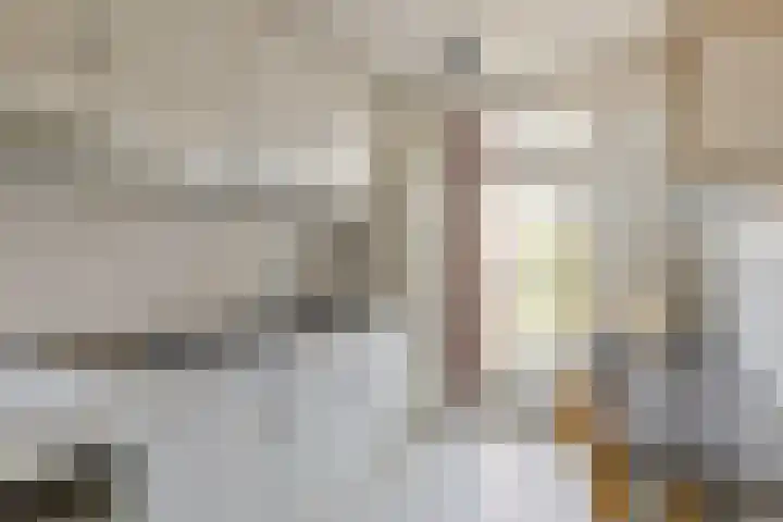 De Kempenaerstraat 52 Oss thumbnail 4