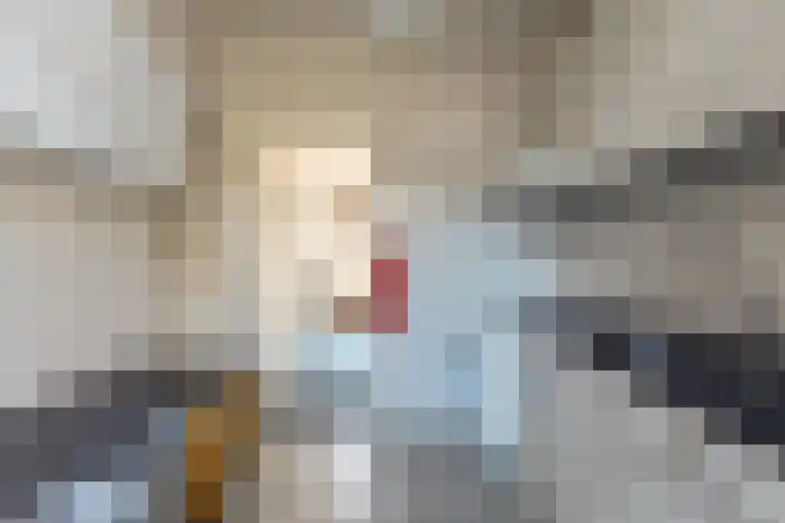 De Kempenaerstraat 52 Oss thumbnail 9