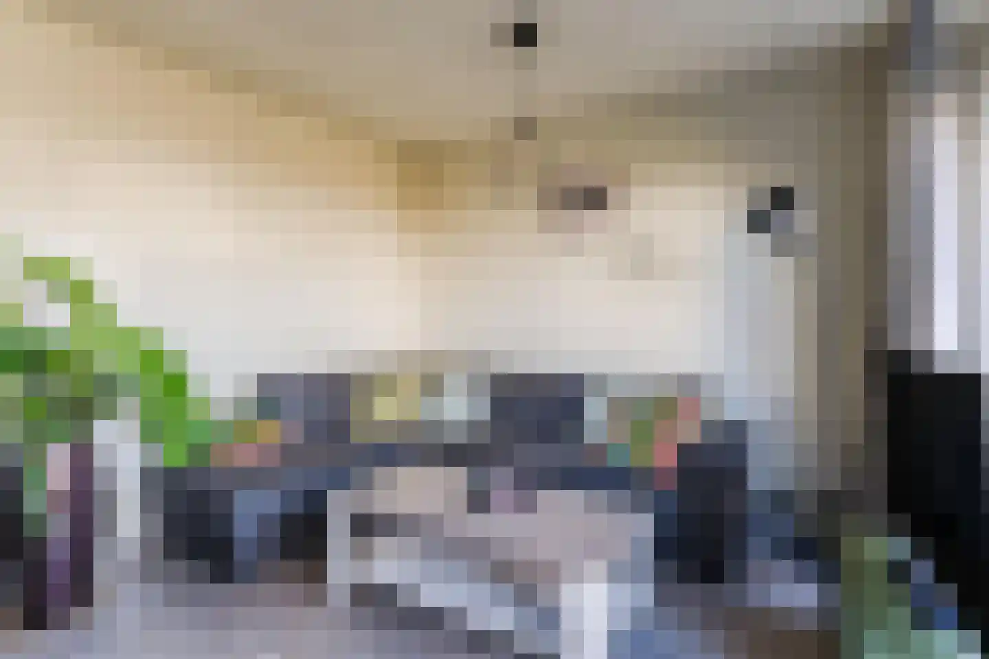 De Kerkschuur 5 Diessen thumbnail 6