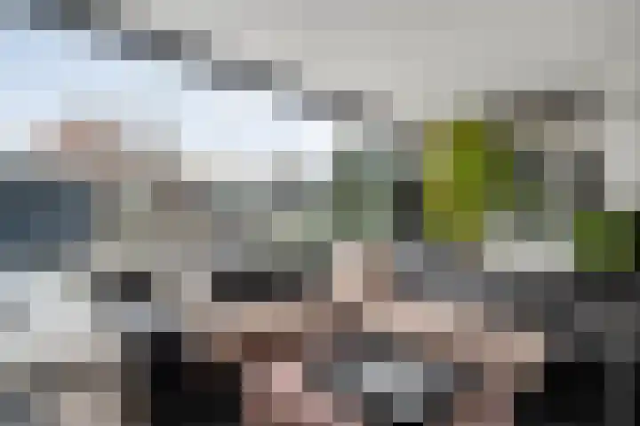 de Kerkuil 146 Denekamp thumbnail 16