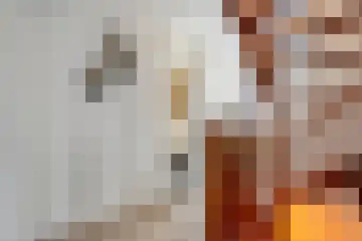 de Kerkuil 146 Denekamp thumbnail 18