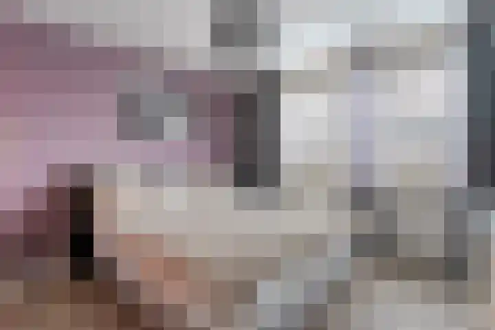 de Kerkuil 146 Denekamp thumbnail 19