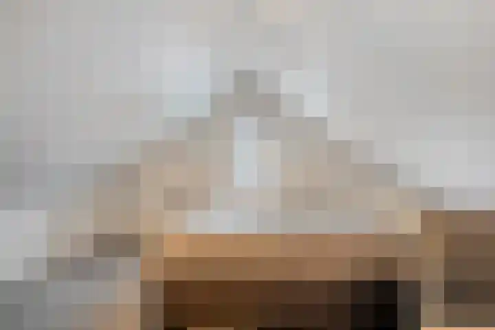 de Kerkuil 146 Denekamp thumbnail 24
