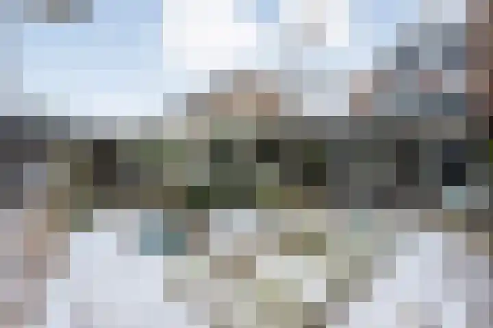 de Kerkuil 146 Denekamp thumbnail 26