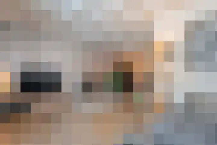 de Kerkuil 146 Denekamp thumbnail 7