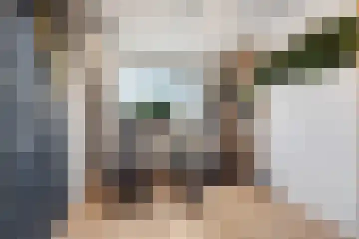 De Kerspel 3 Westervoort thumbnail 28