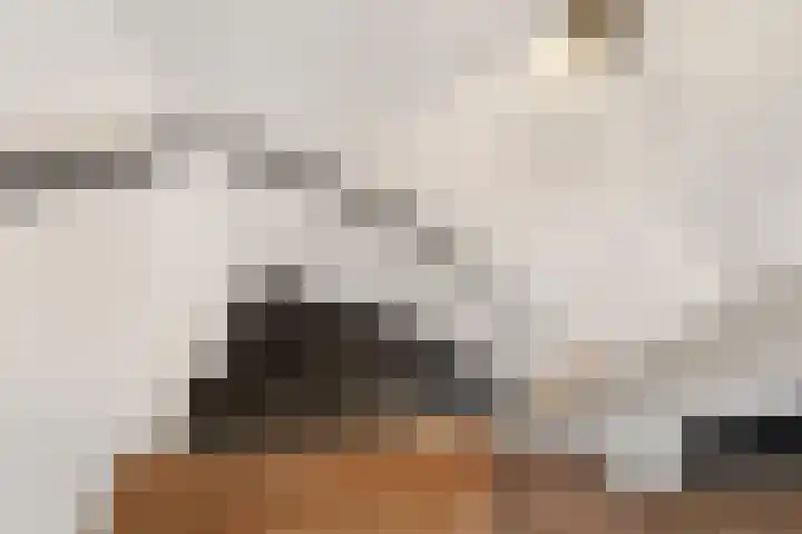 De Kerspel 3 Westervoort thumbnail 36
