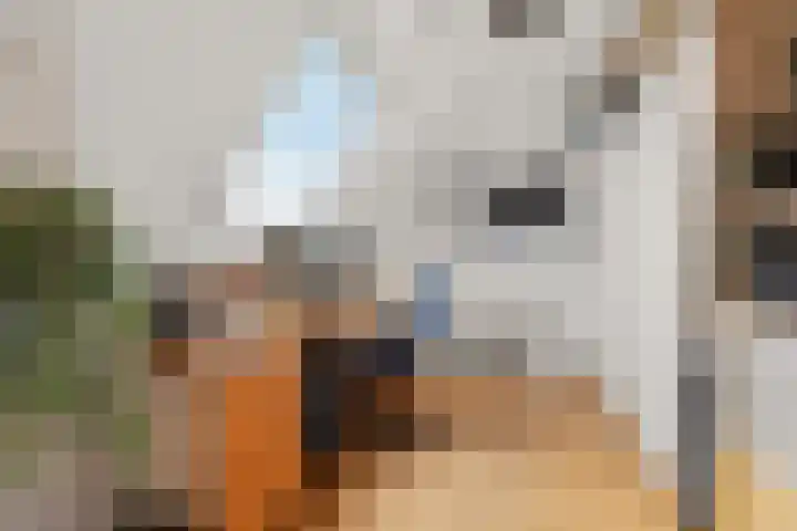 De Kerspel 3 Westervoort thumbnail 40