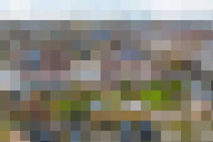 De Kerspel 3 Westervoort thumbnail 57