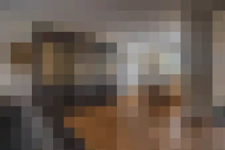 De Kerspel 5 Westervoort thumbnail 11