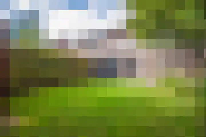 De Kerspel 5 Westervoort thumbnail 23