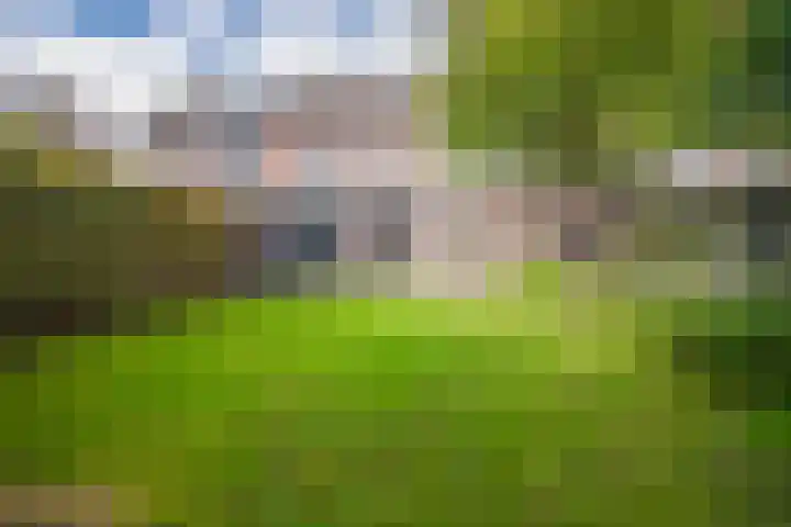 De Kerspel 5 Westervoort thumbnail 24