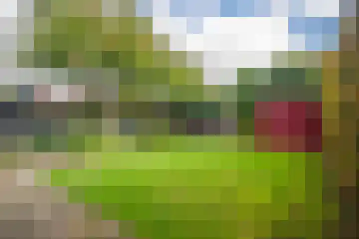 De Kerspel 5 Westervoort thumbnail 27