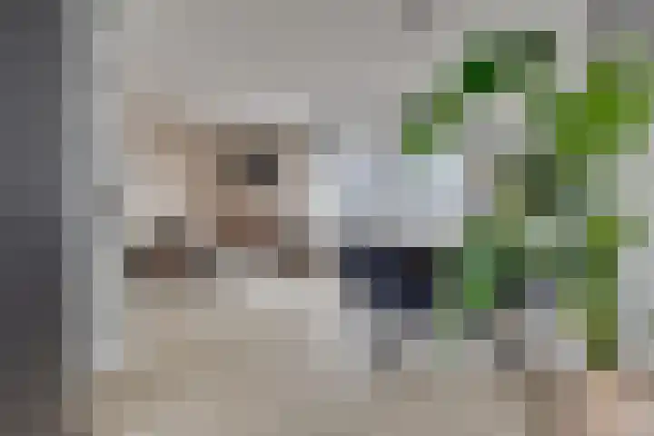 De Kervershilt 31 Leusden thumbnail 4