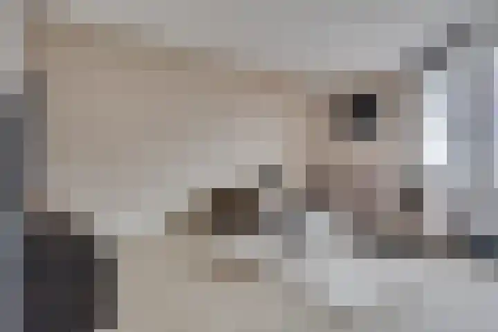 De Kervershilt 31 Leusden thumbnail 6