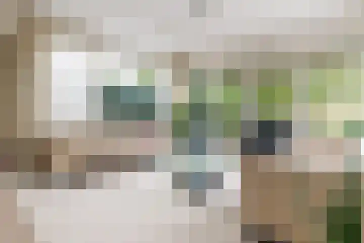 De Keyserplan 17 Zoetermeer thumbnail 21