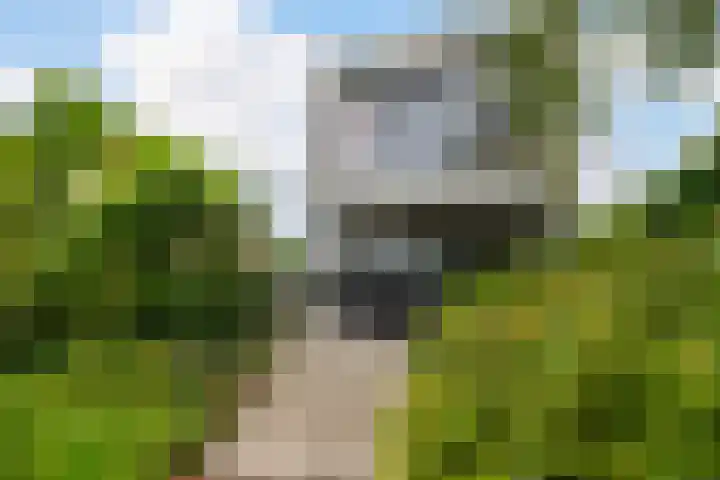 De Keyserplan 17 Zoetermeer thumbnail 4
