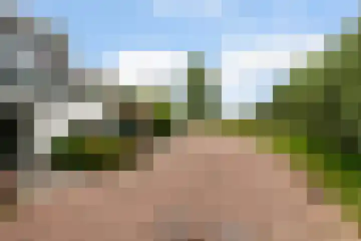De Keyserplan 17 Zoetermeer thumbnail 8