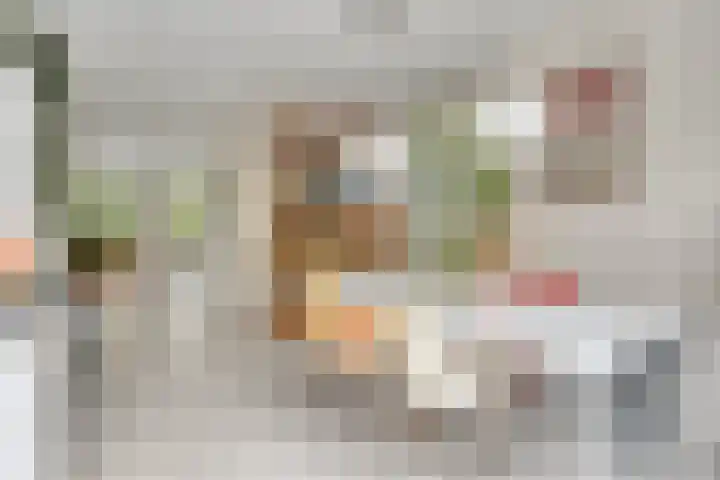 De kiem 2 Oss thumbnail 10