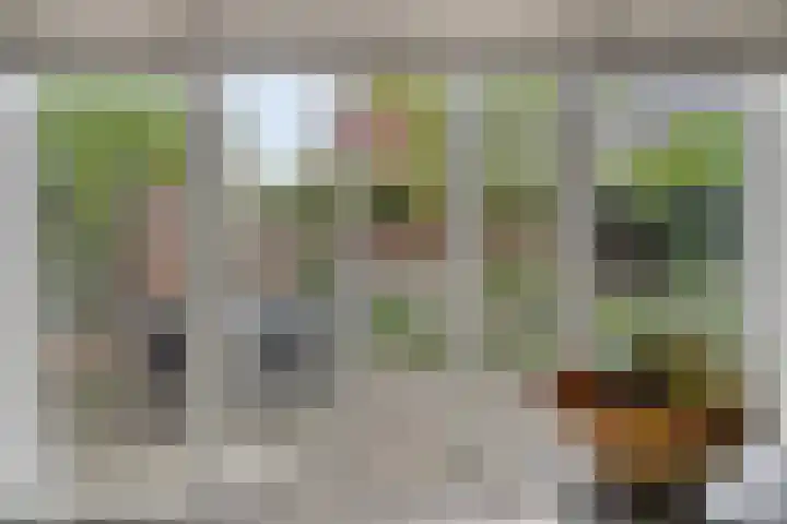 De kiem 2 Oss thumbnail 11